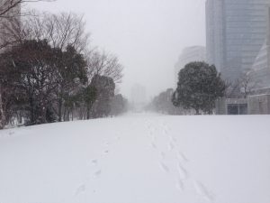 IMG_1485[1]