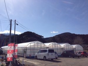 IMG_1515[1]