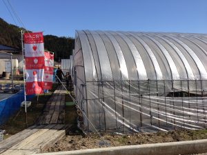 IMG_1519[1]