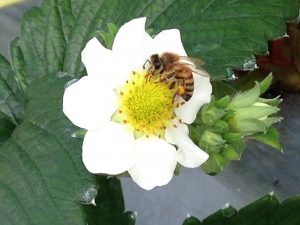 IMG_1565[1]