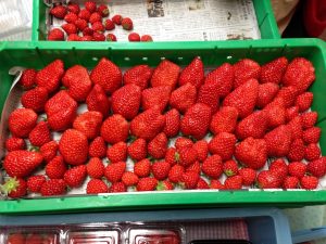 IMG_1579[1]