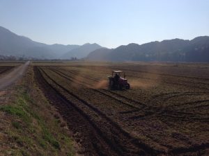 IMG_1705[1]