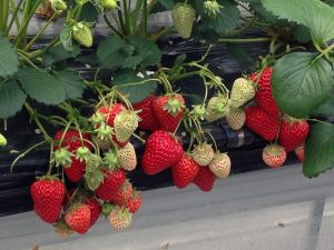 IMG_1722[1]