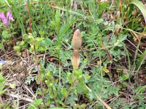 IMG_1737[1]