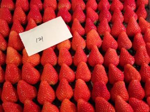 IMG_1740[1]