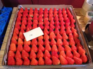IMG_1741[1]