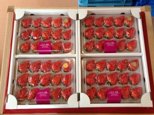 IMG_1785[1]