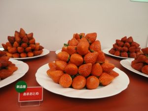 DSC01308