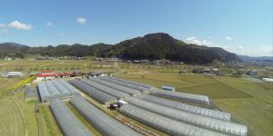 空から見たあかまつ農園